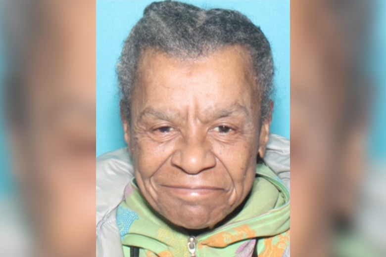 Missing Person Elizabeth Shepherd from the 22nd District